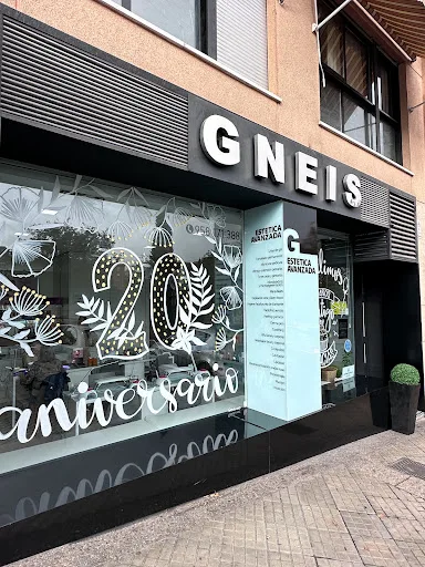 Gneis Granada