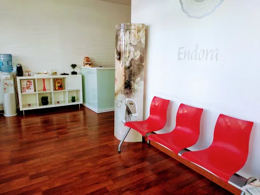 ENDORA Girona